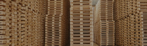 Wooden euro pallets manufacturing and sales